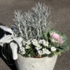 Thumbnail of related posts 200