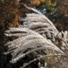 Thumbnail of related posts 177