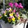 Thumbnail of related posts 168
