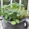Thumbnail of related posts 152