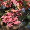 Thumbnail of related posts 035