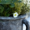 Thumbnail of related posts 100