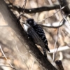 Thumbnail of related posts 112