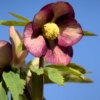 Thumbnail of related posts 134