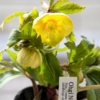 Thumbnail of related posts 177