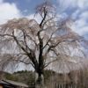 Thumbnail of related posts 145