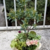 Thumbnail of related posts 017
