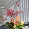 Thumbnail of related posts 125