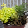 Thumbnail of related posts 069
