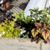 Thumbnail of related posts 023