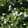 Thumbnail of related posts 165