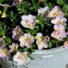 Thumbnail of related posts 006