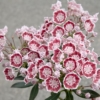 Thumbnail of related posts 042