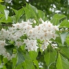Thumbnail of related posts 174