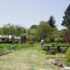 Thumbnail of related posts 013