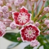 Thumbnail of related posts 085