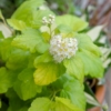 Thumbnail of related posts 103