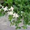 Thumbnail of related posts 140