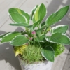 Thumbnail of related posts 118