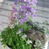 Thumbnail of related posts 153