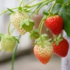 Thumbnail of related posts 066
