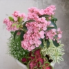 Thumbnail of related posts 001