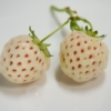 Thumbnail of related posts 157