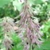 Thumbnail of related posts 031