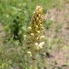 Thumbnail of related posts 072