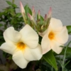 Thumbnail of related posts 193