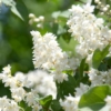 Thumbnail of related posts 088