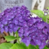 Thumbnail of related posts 011
