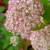 Thumbnail of related posts 113