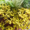 Thumbnail of related posts 148
