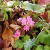 Thumbnail of related posts 085