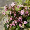 Thumbnail of related posts 161