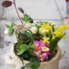 Thumbnail of related posts 180