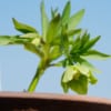 Thumbnail of related posts 059