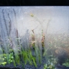 Thumbnail of related posts 128