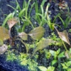 Thumbnail of related posts 132