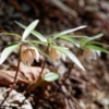 Thumbnail of related posts 013