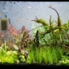 Thumbnail of related posts 043