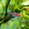 Thumbnail of related posts 067